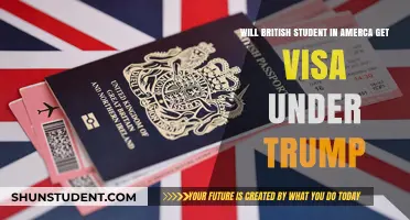 Will British Students in America Secure Visas Under Trump's Policies?