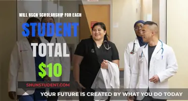 Exploring the $10 BSCN Scholarship: Is It Available for Every Student?