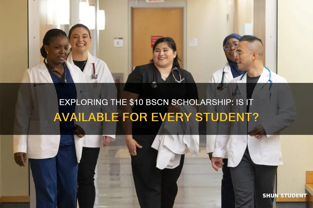 will bscn scholarship for each student total $10
