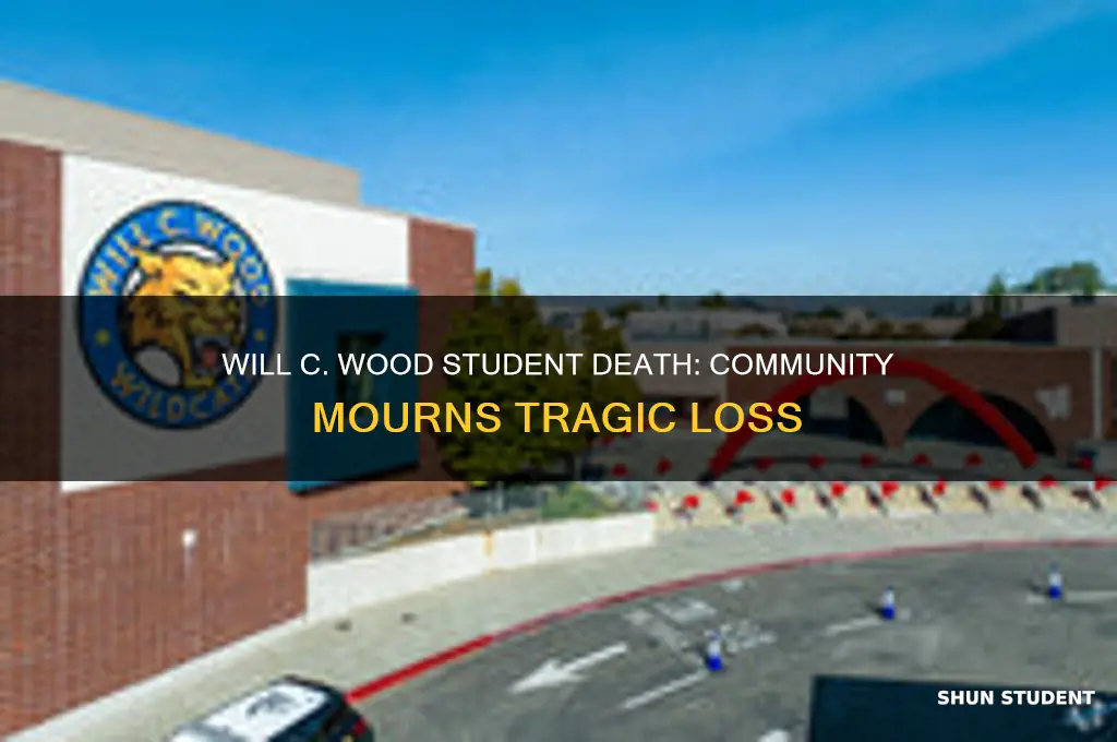 will c wood student death