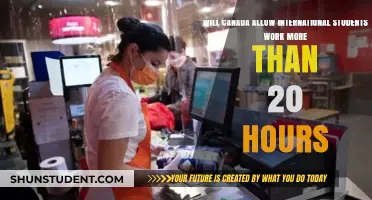 International Students in Canada: Work Hour Flexibility