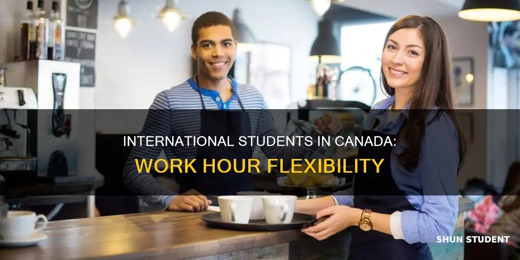 will canada allow international students work more than 20 hours