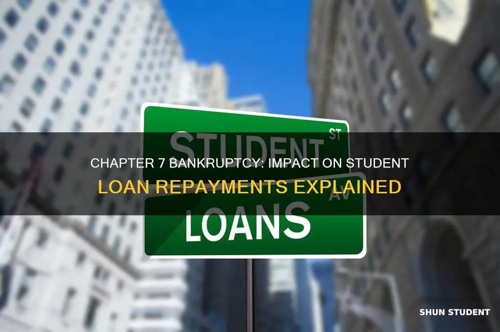 will chapter 7 affect student loan payments