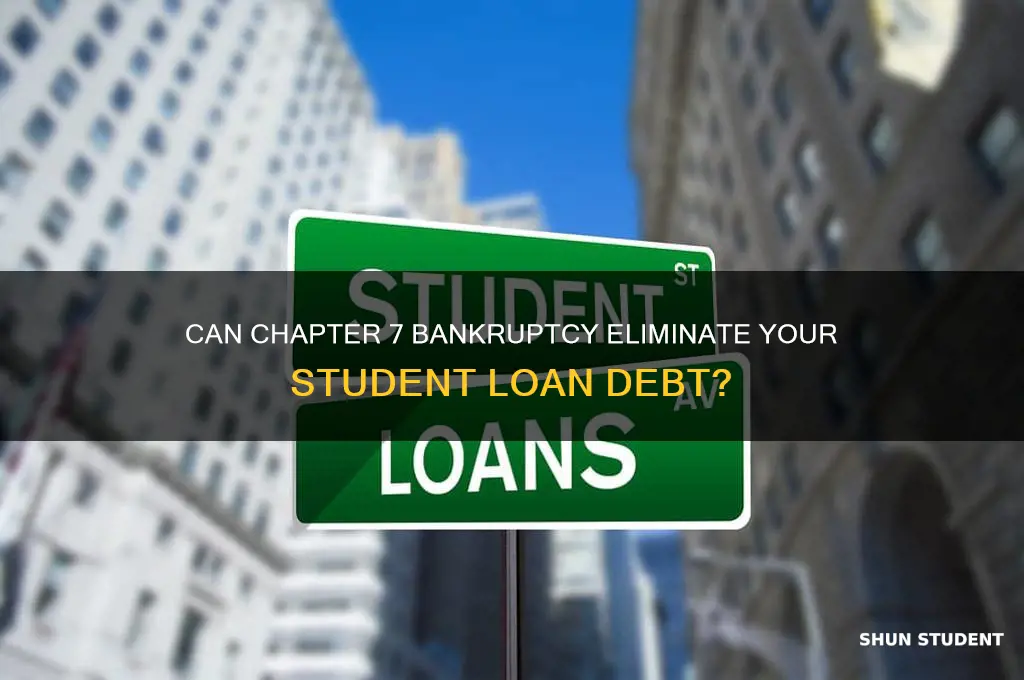 will chapter 7 get rid of student loans