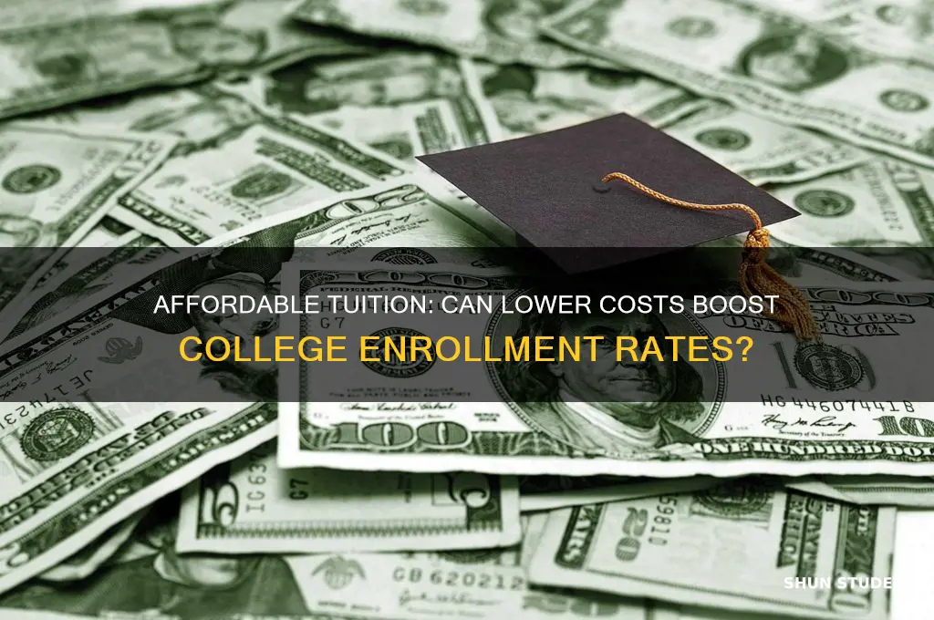 will cheaper colllege attract more students