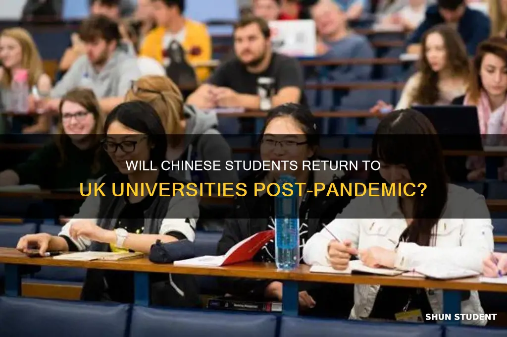 will chinese students come back to uk