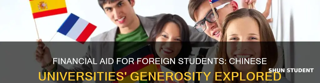 will chinese universities provide financial aid to foreign students