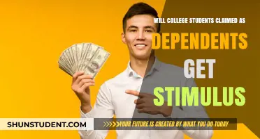 Will Dependent College Students Receive Stimulus Payments? Key Details Explained