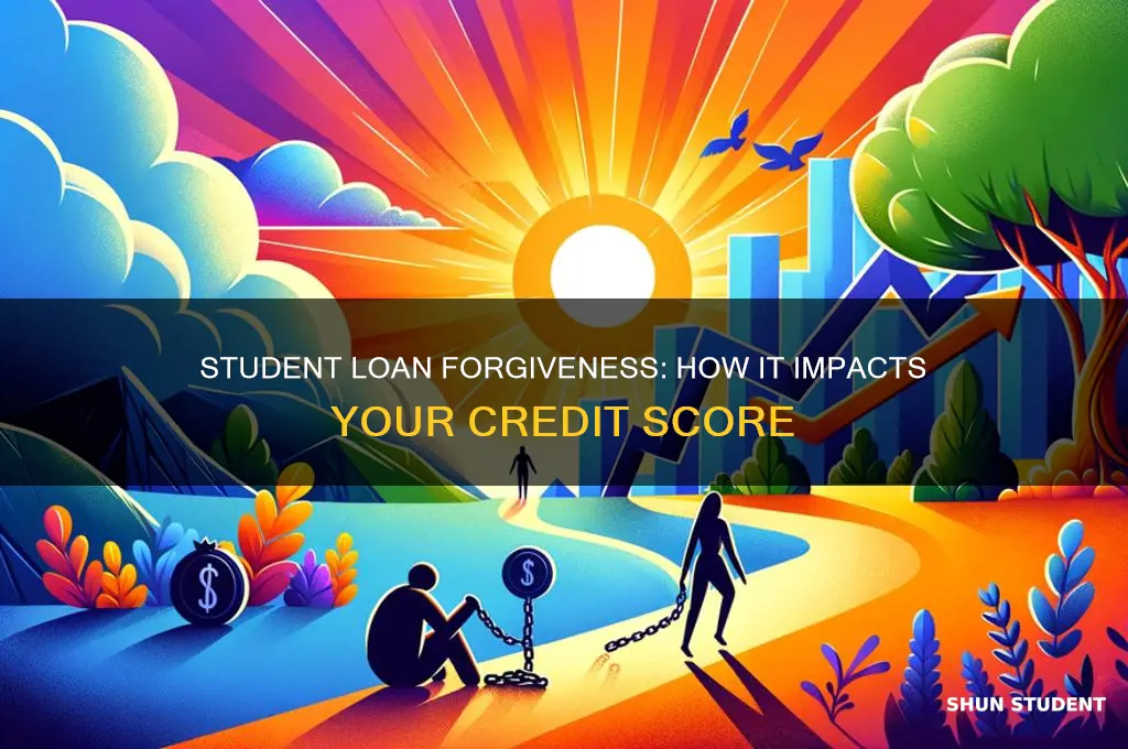 will credit score go up after student loan forgiveness