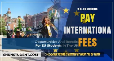 EU Students: International Fees and the Impact