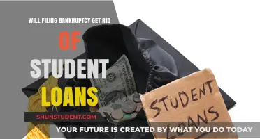 Can Bankruptcy Eliminate Student Loans? What You Need to Know