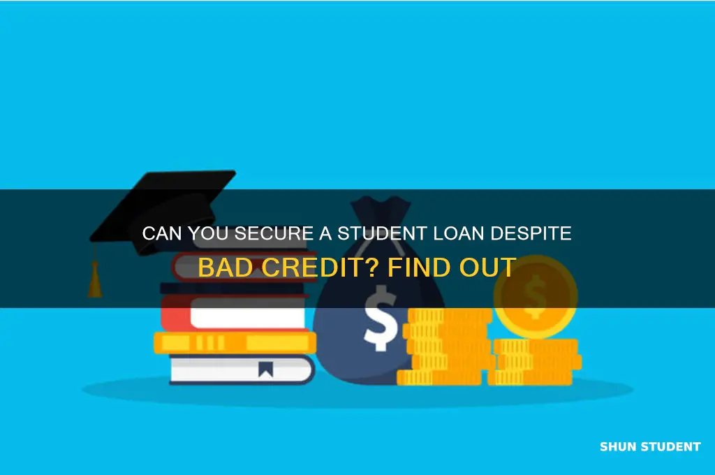 will i get a student loan with bad credit
