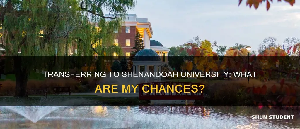 will i get into shenandoah university as a transfer student
