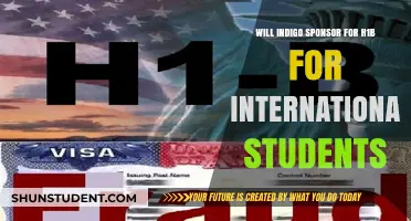 Indigo H1-B Visa Sponsorship: What International Students Need to Know