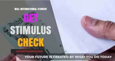 Stimulus Checks for International Students: Who Gets Them?