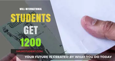 Do International Students Receive the $1,200 Stimulus Check?