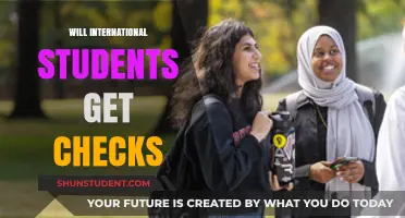 International Students: Are Stimulus Checks Coming?