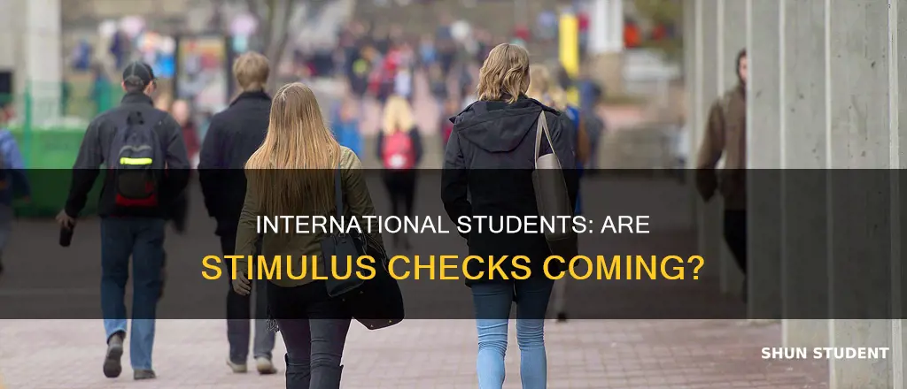 will international students get checks