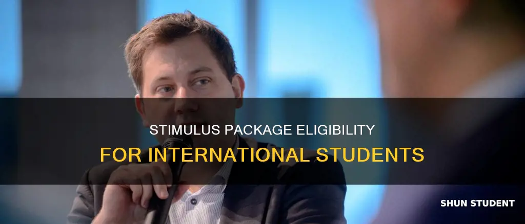 will international students get stimulus package