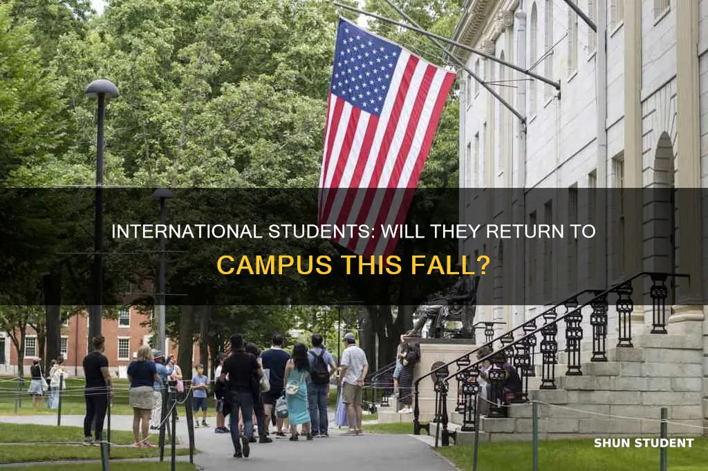 will international students return in the fall