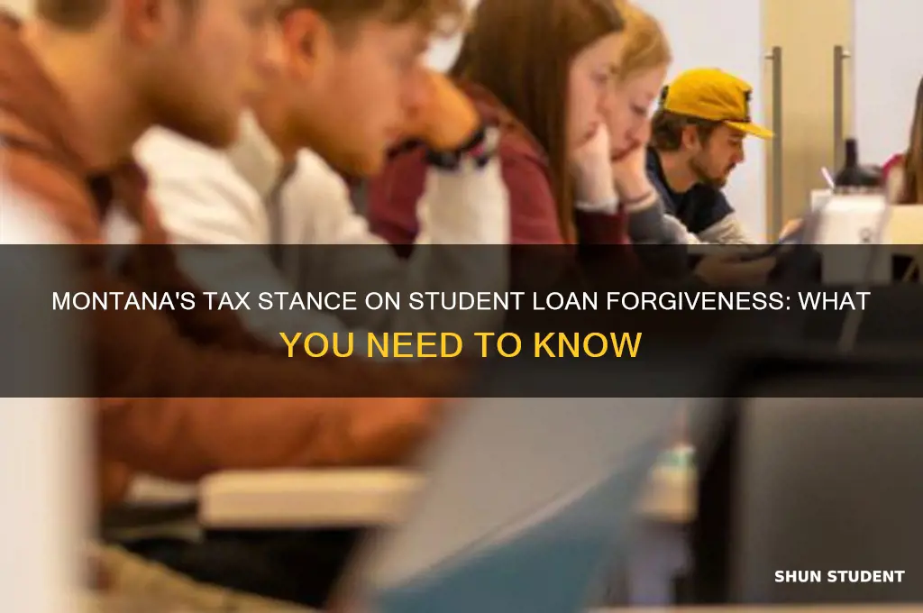 will montana tax student loan forgiveness