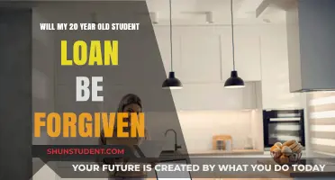 Student Loan Forgiveness: Can 20-Year-Old Debts Be Erased?