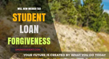 New Mexico's Tax Stance on Student Loan Forgiveness: What to Know