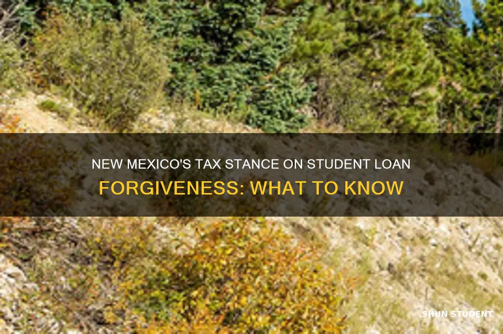 will new mexico tax student loan forgiveness