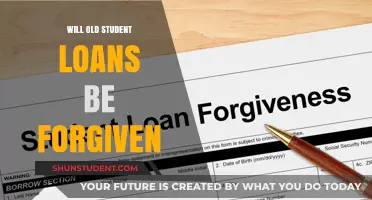 Will Old Student Loans Be Forgiven? Exploring Potential Debt Relief Options