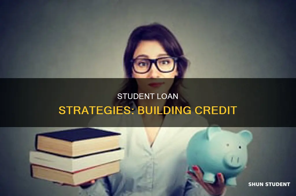will paying back student loans build credit