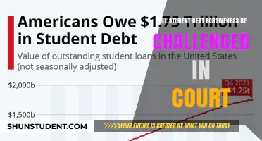 Will Student Debt Forgiveness Face Legal Challenges in Court?