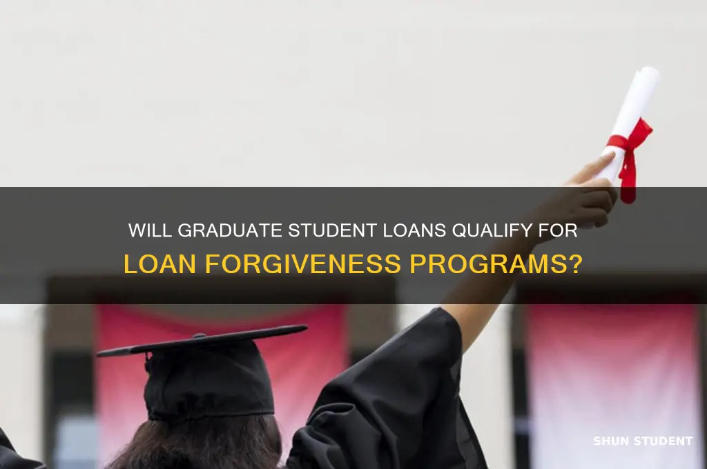 will student loan forgiveness apply to graduate loans