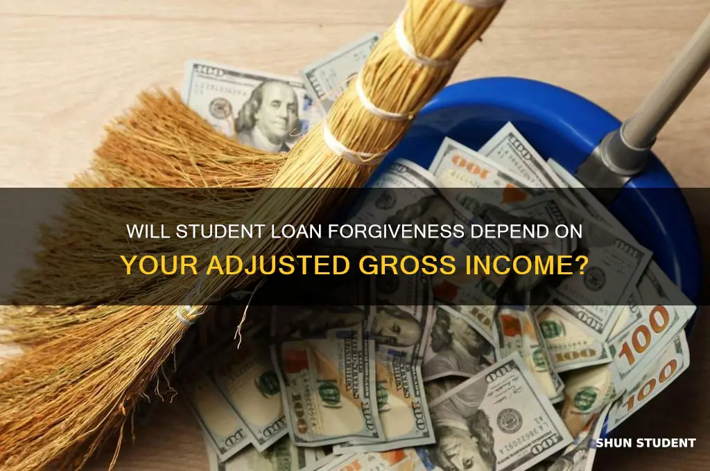 will student loan forgiveness be based on adjusted gross income
