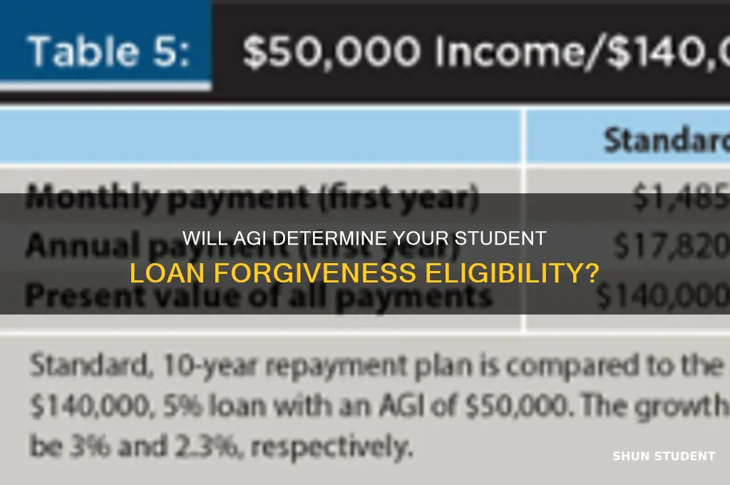 will student loan forgiveness be based on agi