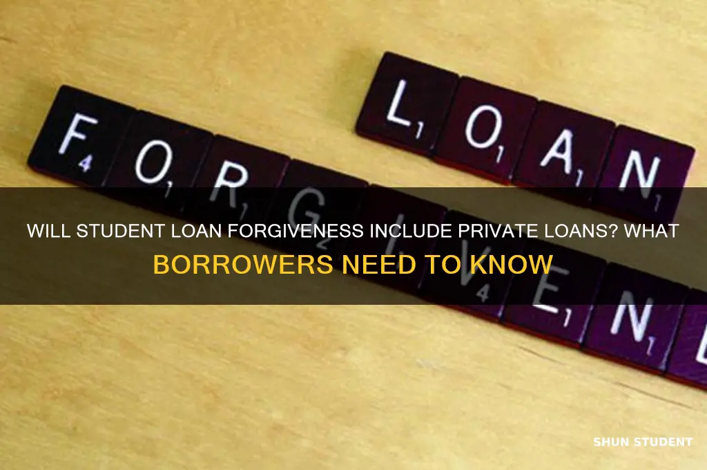 will student loan forgiveness cover private loans