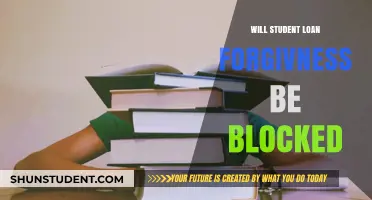 Will Student Loan Forgiveness Be Blocked? Legal Battles Explained