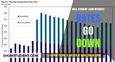 Will Student Loan Interest Rates Drop? Predictions and Insights for Borrowers