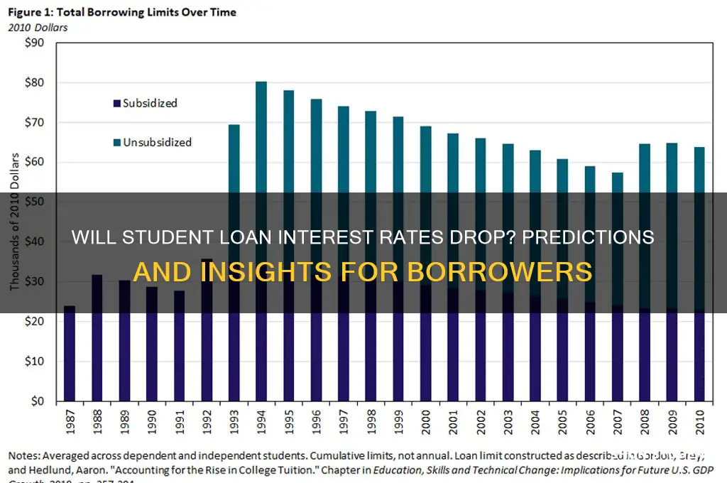 will student loan interest rates go down