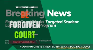 Will Student Loans Be Forgiven? Court Cases and Potential Outcomes
