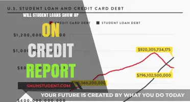 Do Student Loans Appear on Your Credit Report? Find Out Now