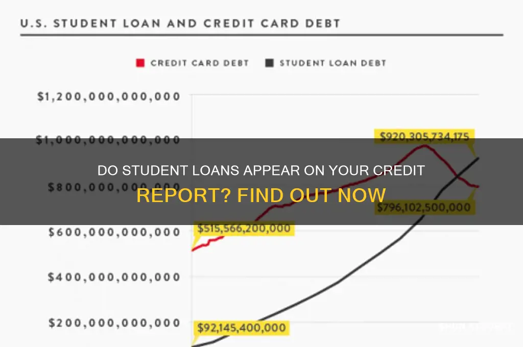 will student loans show up on credit report