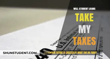Will Student Loans Take My Tax Refund? What Borrowers Need to Know
