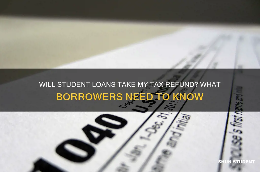 will student loans take my taxes