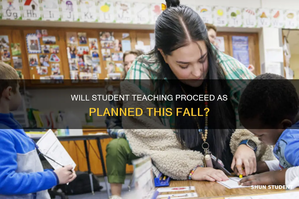 will student teaching happen in the fall