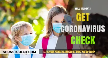 Will Students Receive Coronavirus Checks? Exploring the Possibilities