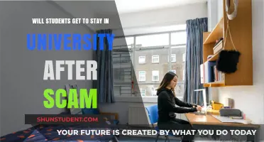 University Life After a Scam: What's Next?