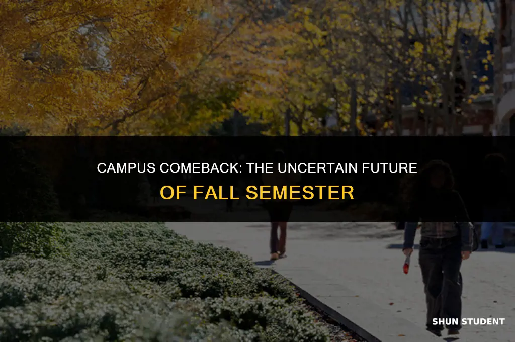 will students return to campus in the fall