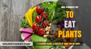 Exploring the Green Diet: Will Students Opt for Plant-Based Meals?