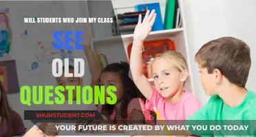 Exploring the Visibility of Past Questions for New Class Members