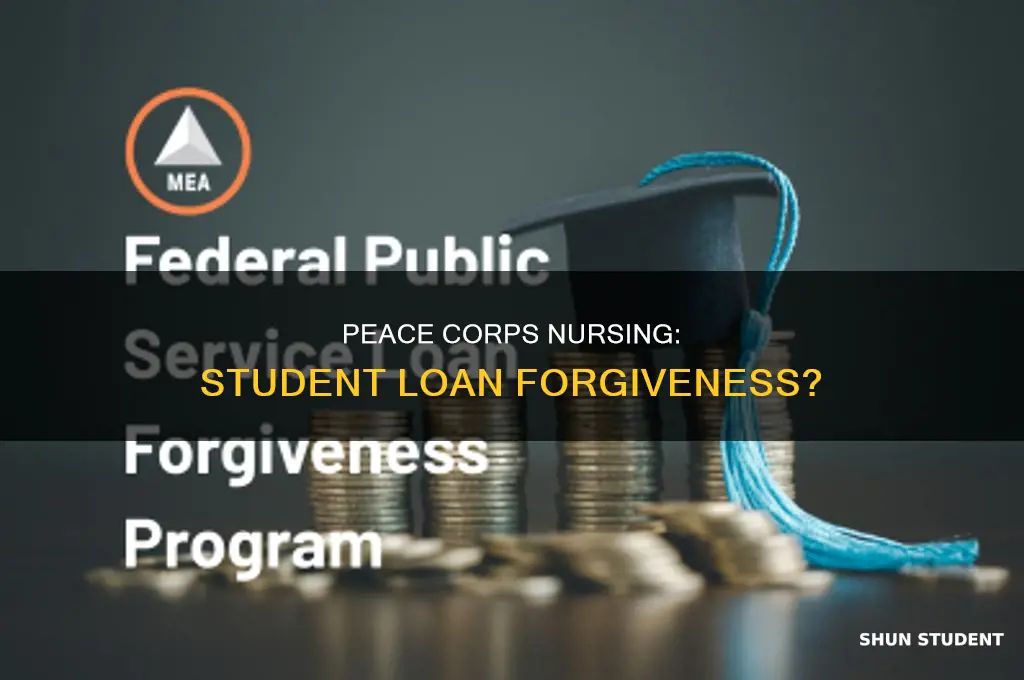 will the peace corps pay my nursing student loans